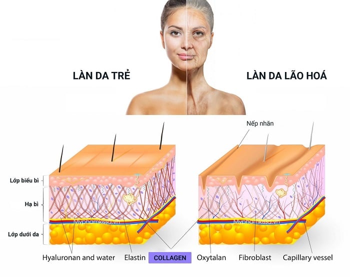 Collagen không phải uống càng nhiều càng đẹp, những lưu ý sống còn để đừng đổ sông đổ bể