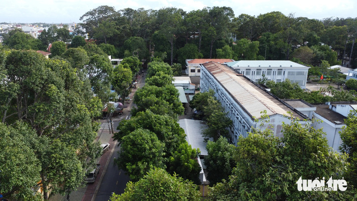 Thăm thành phố cây xanh Trà Vinh, điểm du lịch 'chữa lành' ở miền Tây